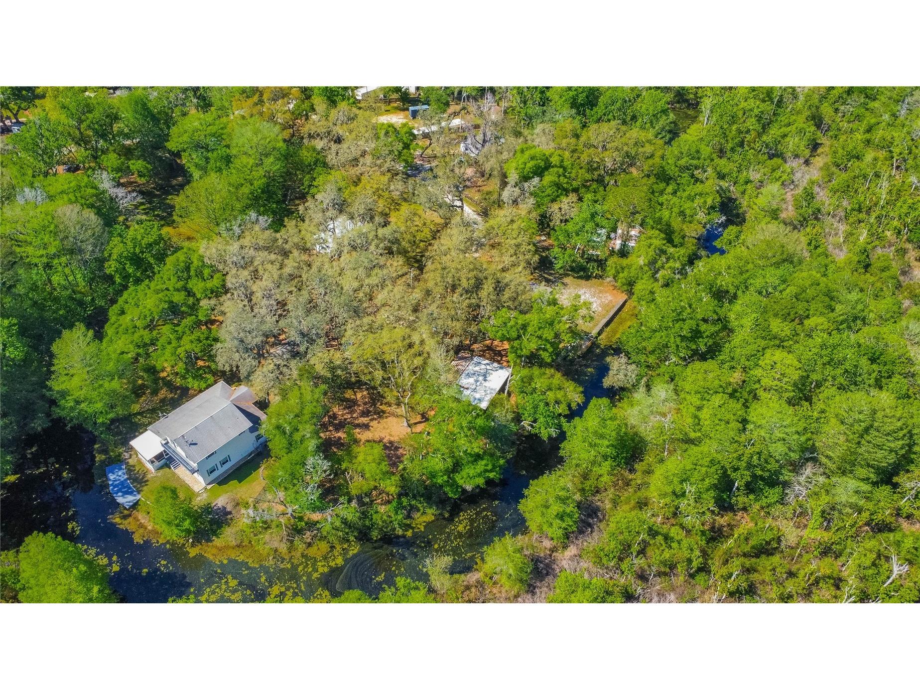 7536 S Bobcat Point Floral City FL 34436 OM724821 image61