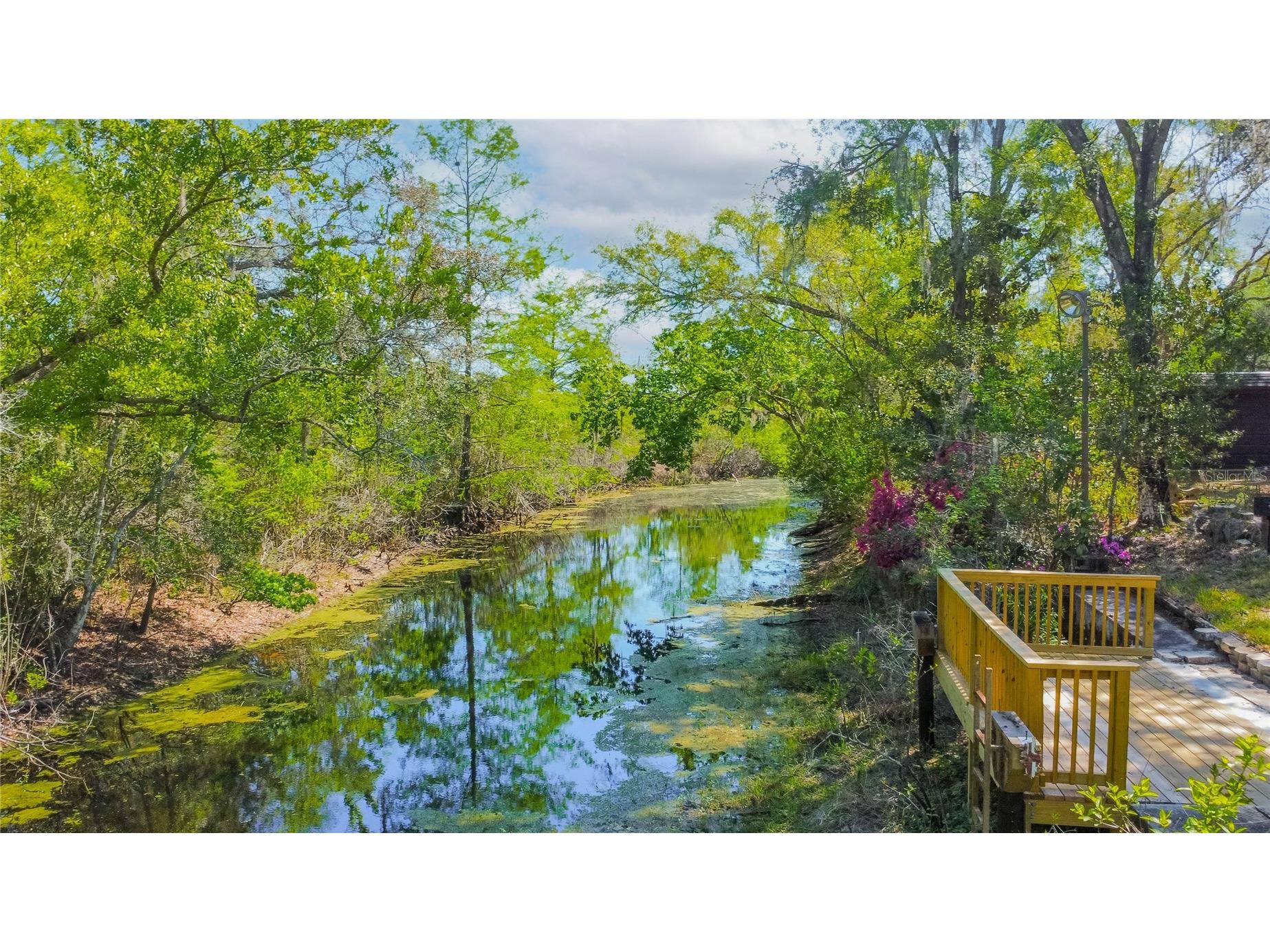 7536 S Bobcat Point Floral City FL 34436 OM724821 image64