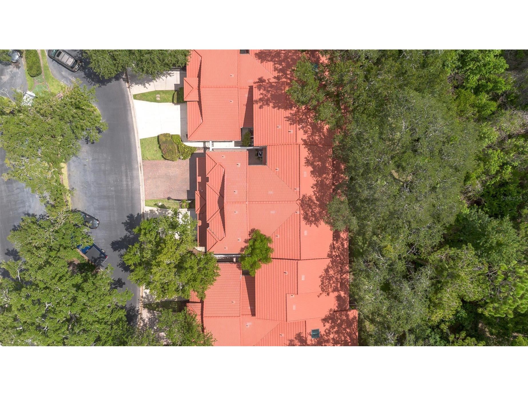 7537 Fenwick Cove Lane Orlando FL 32819 O6420564 image6