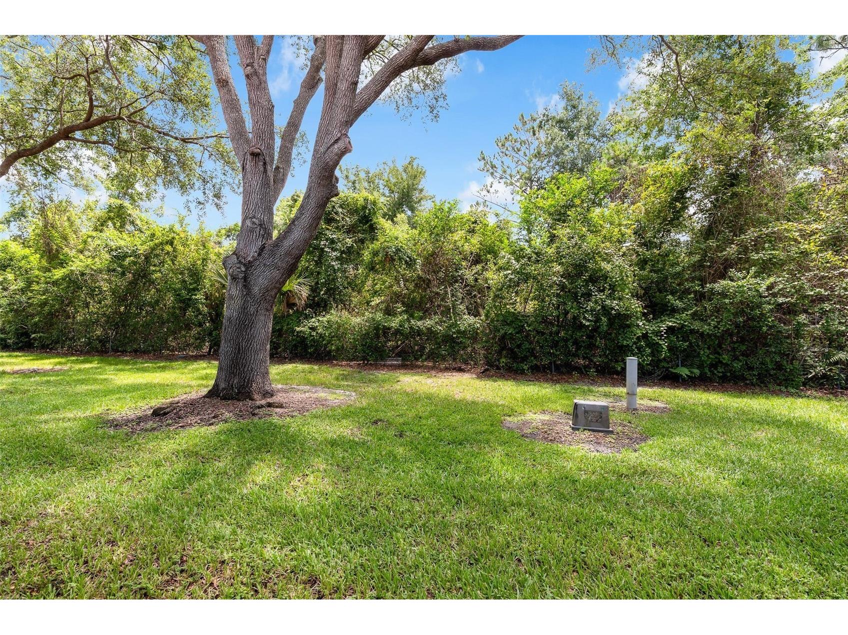 7537 Fenwick Cove Lane Orlando FL 32819 O6420564 image64