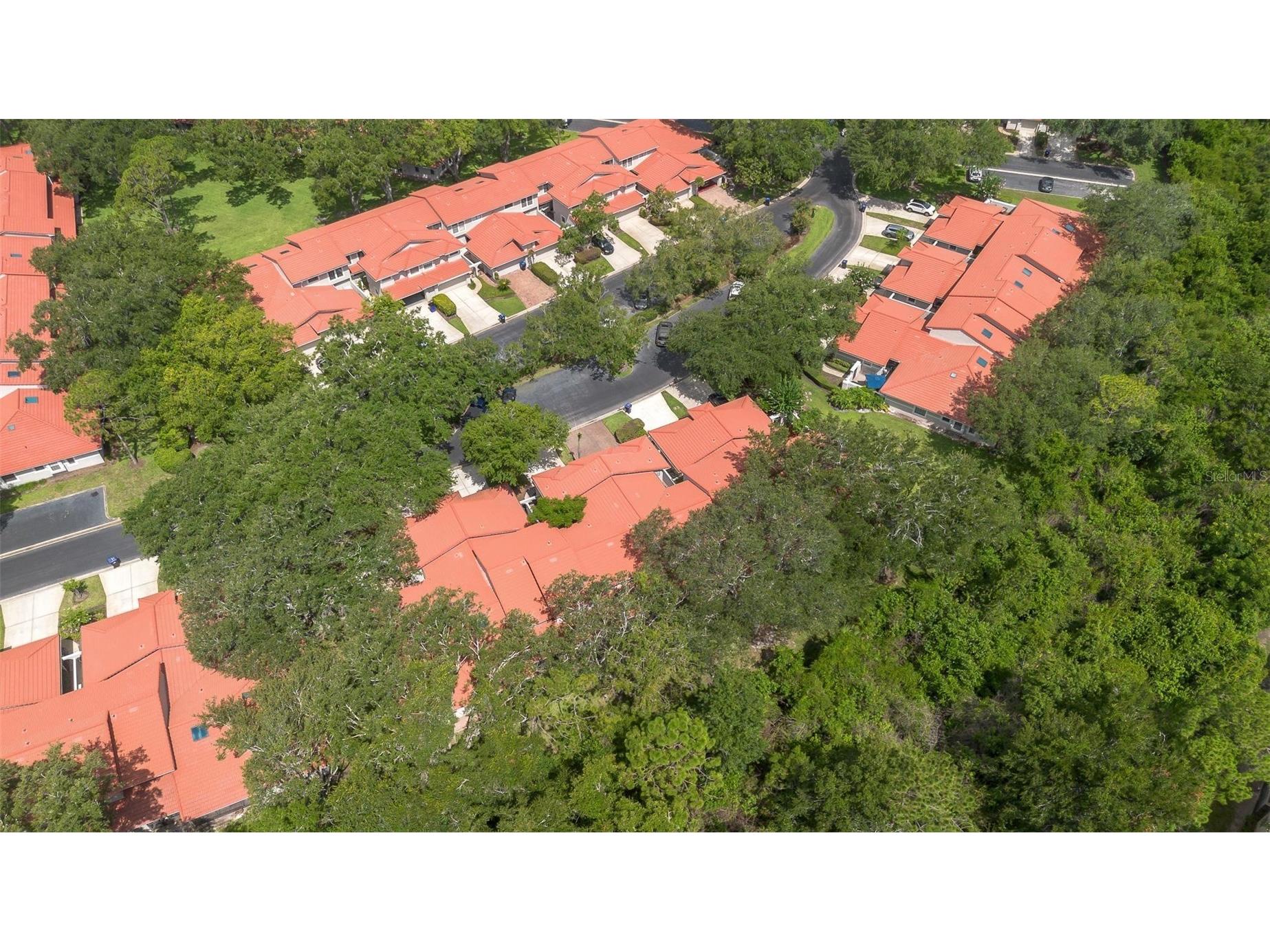 7537 Fenwick Cove Lane Orlando FL 32819 O6420564 image7