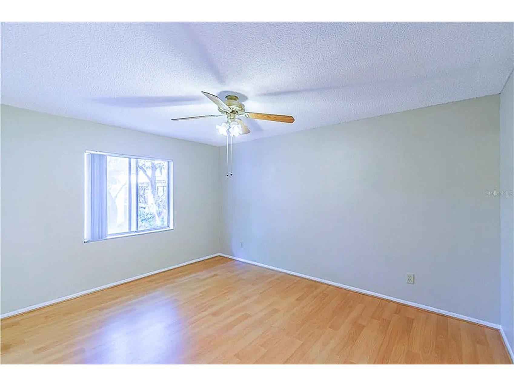 7537 Pitch Pine Circle N #C Tampa FL 33617 TB8467457 image21