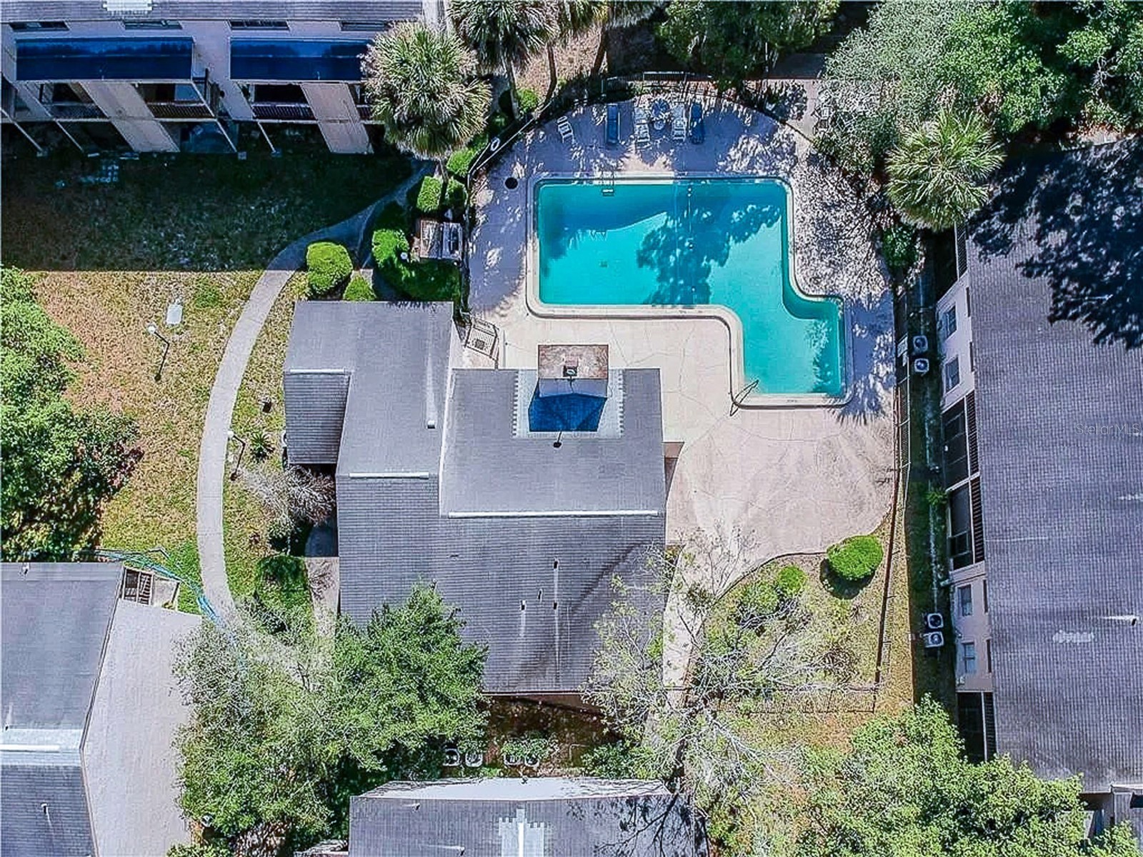 7537 Pitch Pine Circle N #C Tampa FL 33617 TB8467457 image4