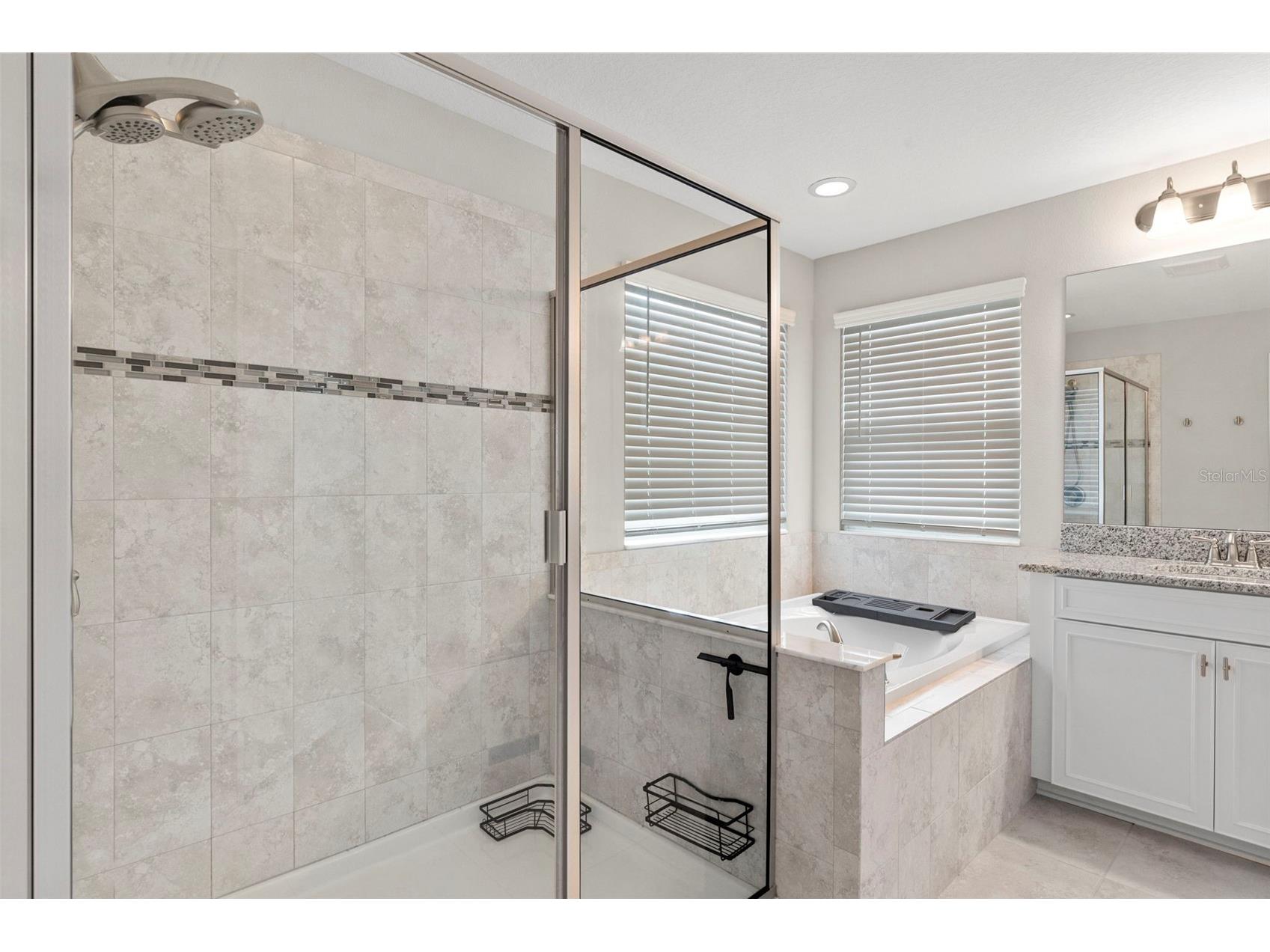 7537 Pool Compass Loop Wesley Chapel FL 33545 TB8481261 image36