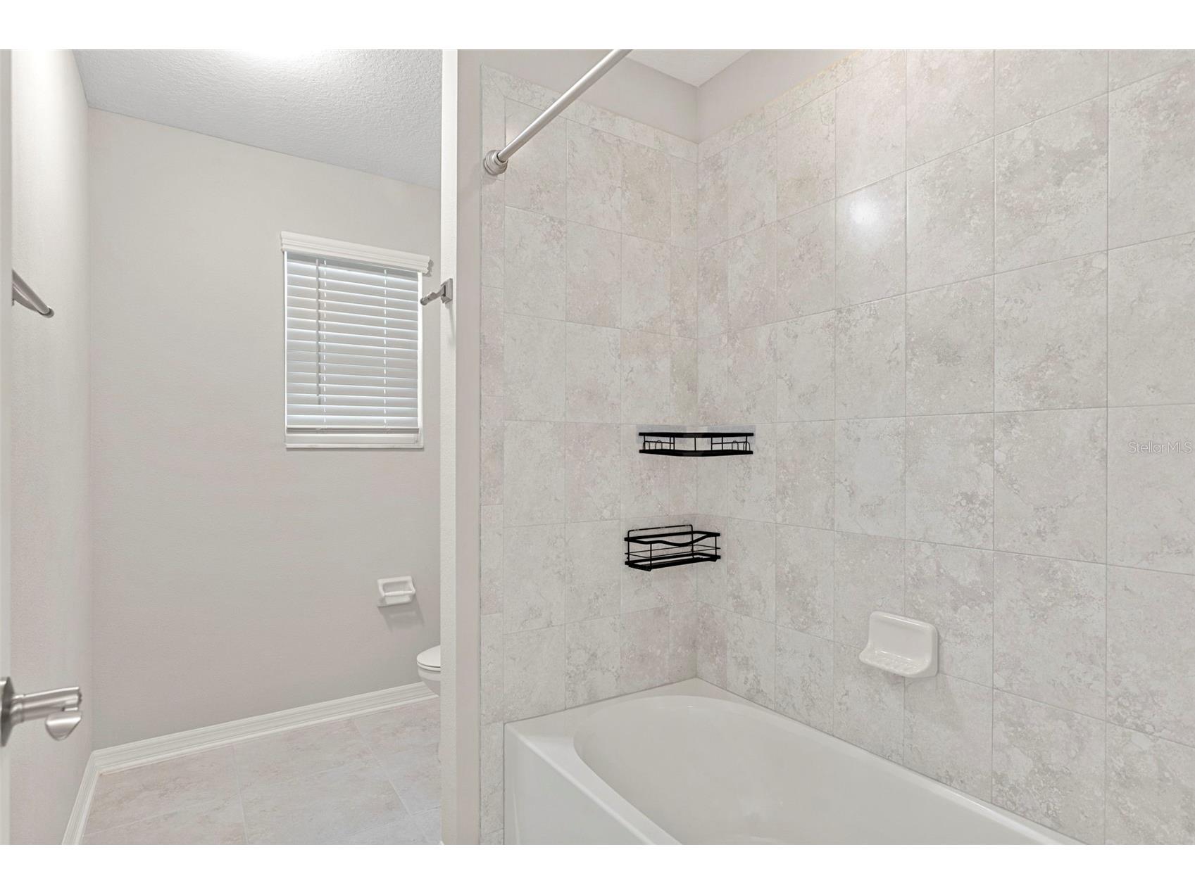 7537 Pool Compass Loop Wesley Chapel FL 33545 TB8481261 image39