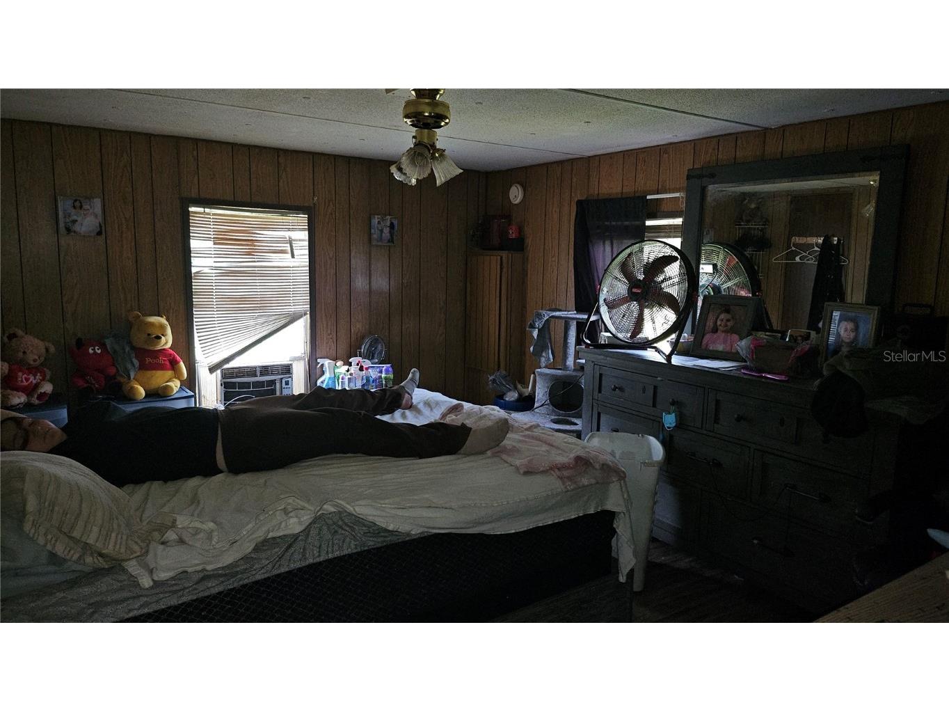 7537 Rooks Drive Wesley Chapel FL 33545 TB8363368 image25