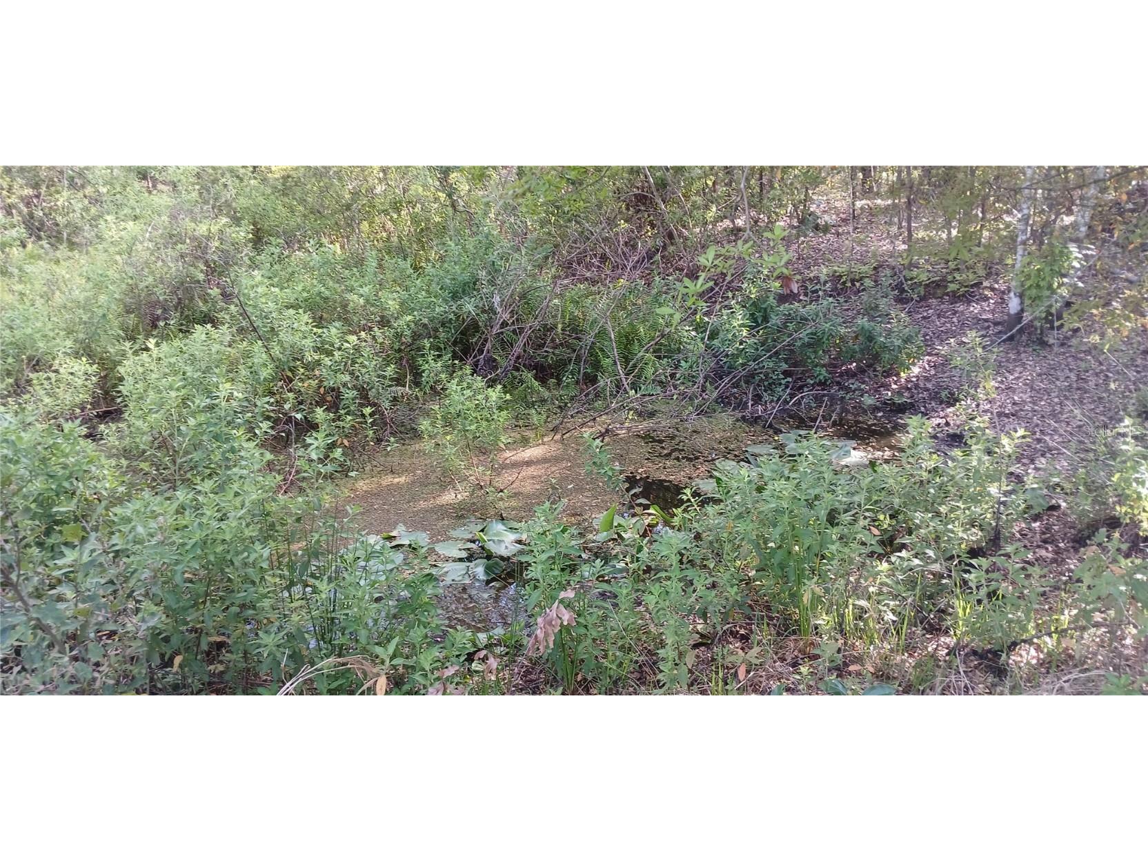 7537 Rooks Drive Wesley Chapel FL 33545 TB8363368 image4