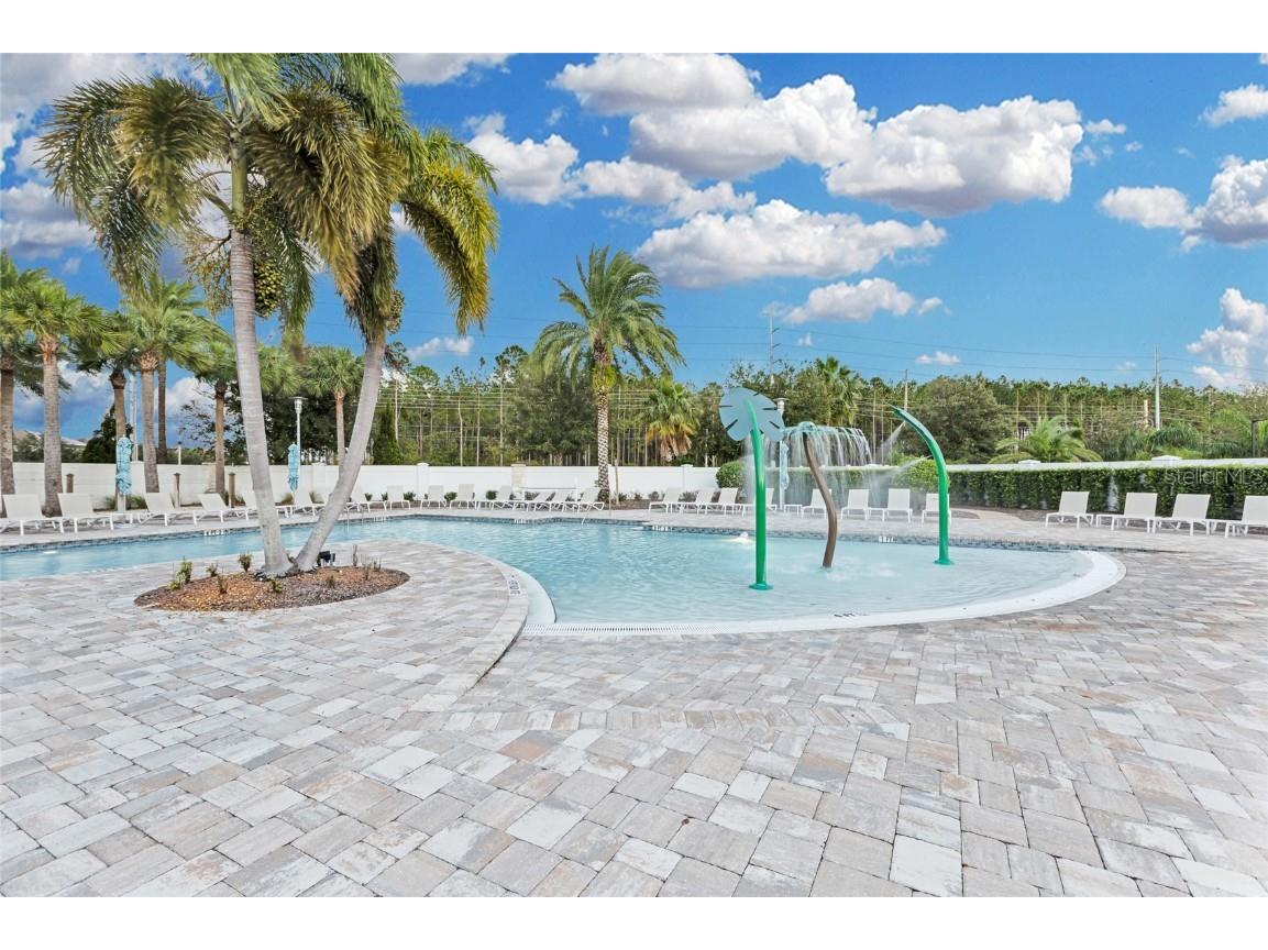 7537 Wandering Way Orlando FL 32836 O6353421 image62