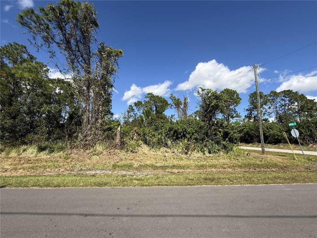 7538 Bernal Drive Sebring FL 33872 P4936885 image2