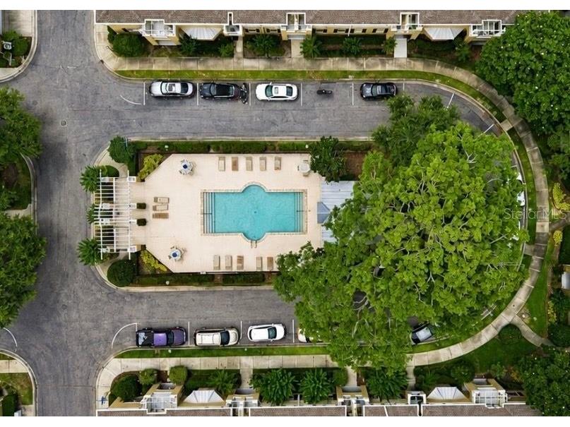 7539 Tamarind Avenue Tampa FL 33625 TB8512465 image25
