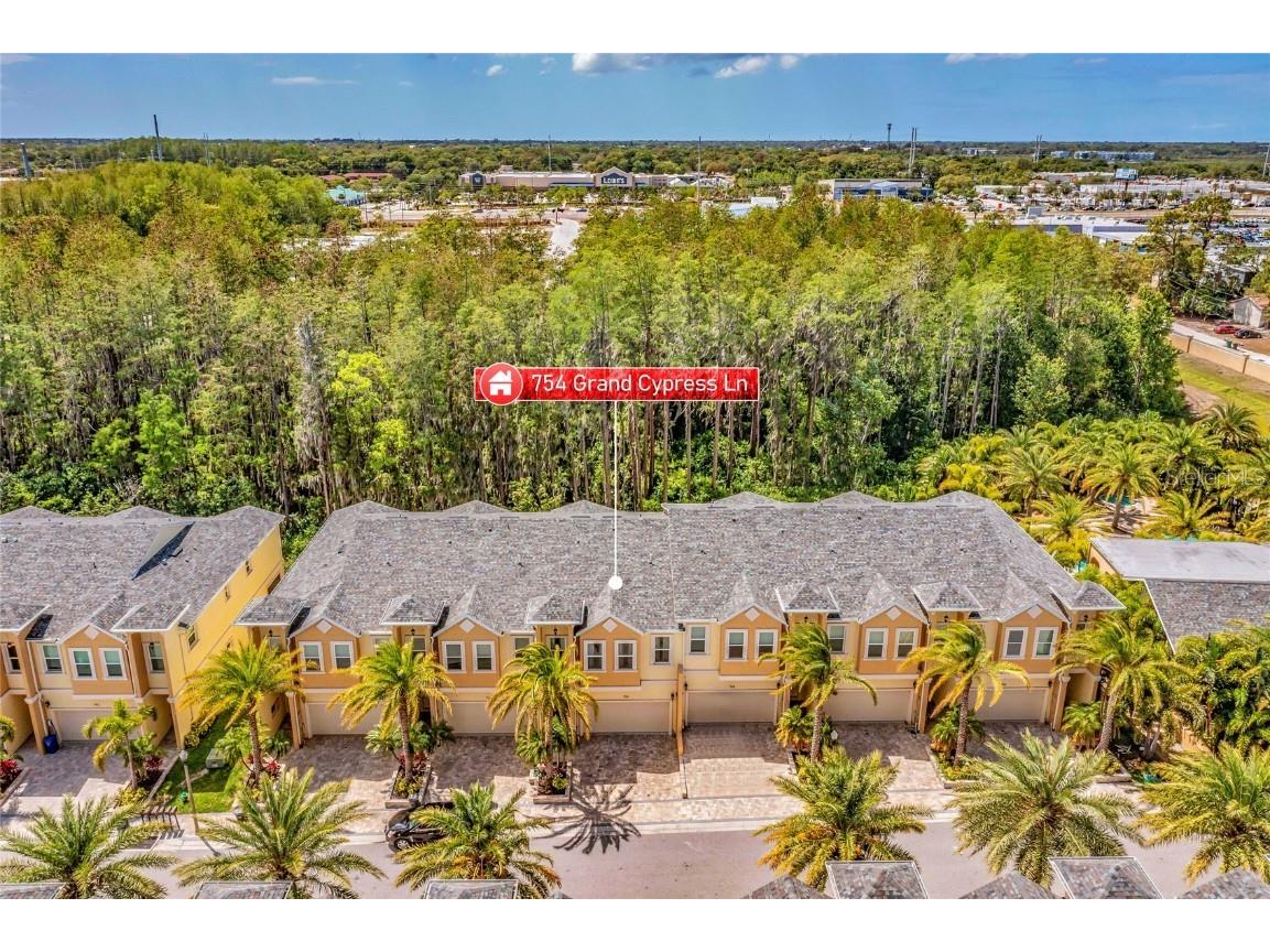 754 Grand Cypress Lane Tarpon Springs FL 34689 U8196890 image1