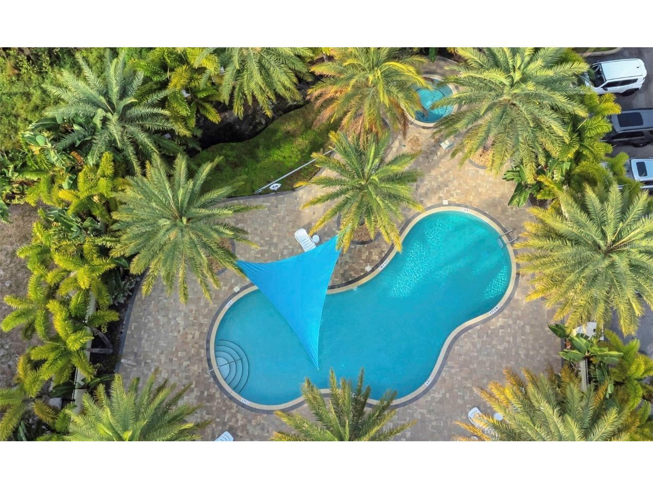 754 Grand Cypress Lane Tarpon Springs FL 34689 TB8460159 image38