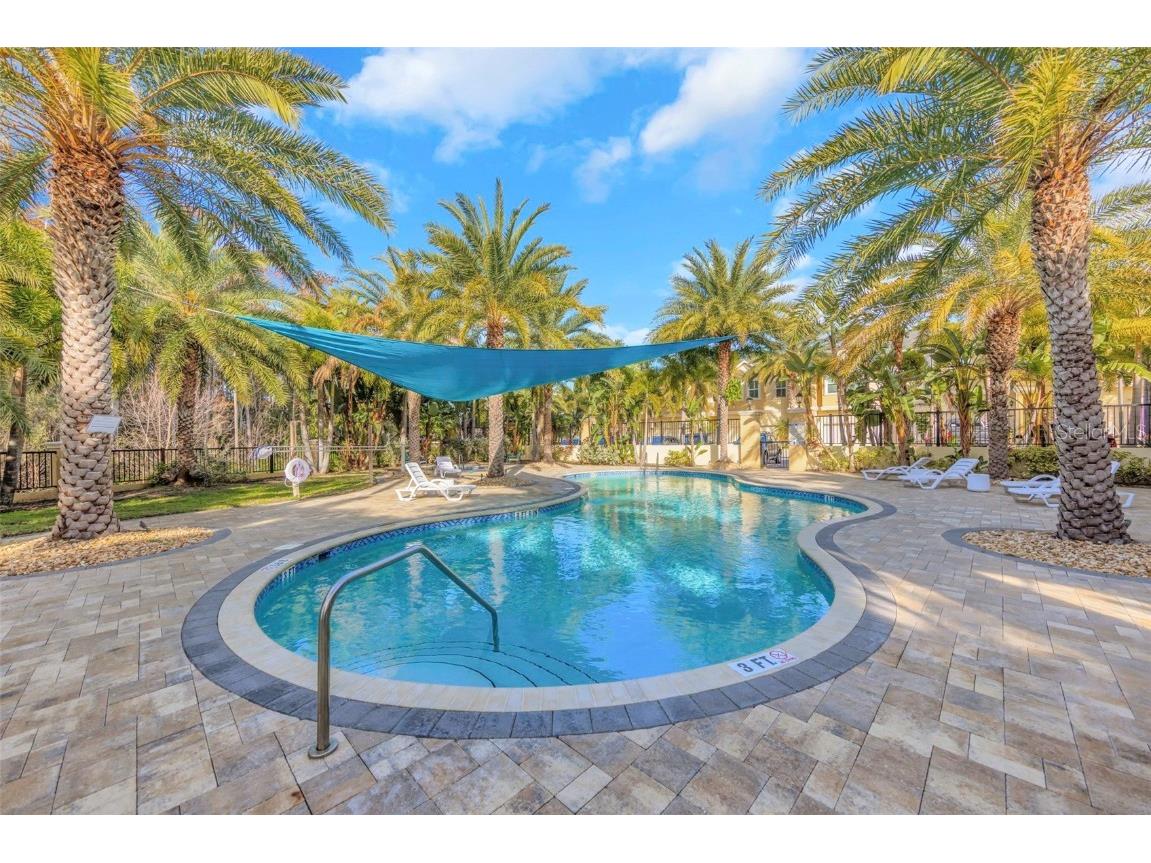 754 Grand Cypress Lane Tarpon Springs FL 34689 TB8460159 image40