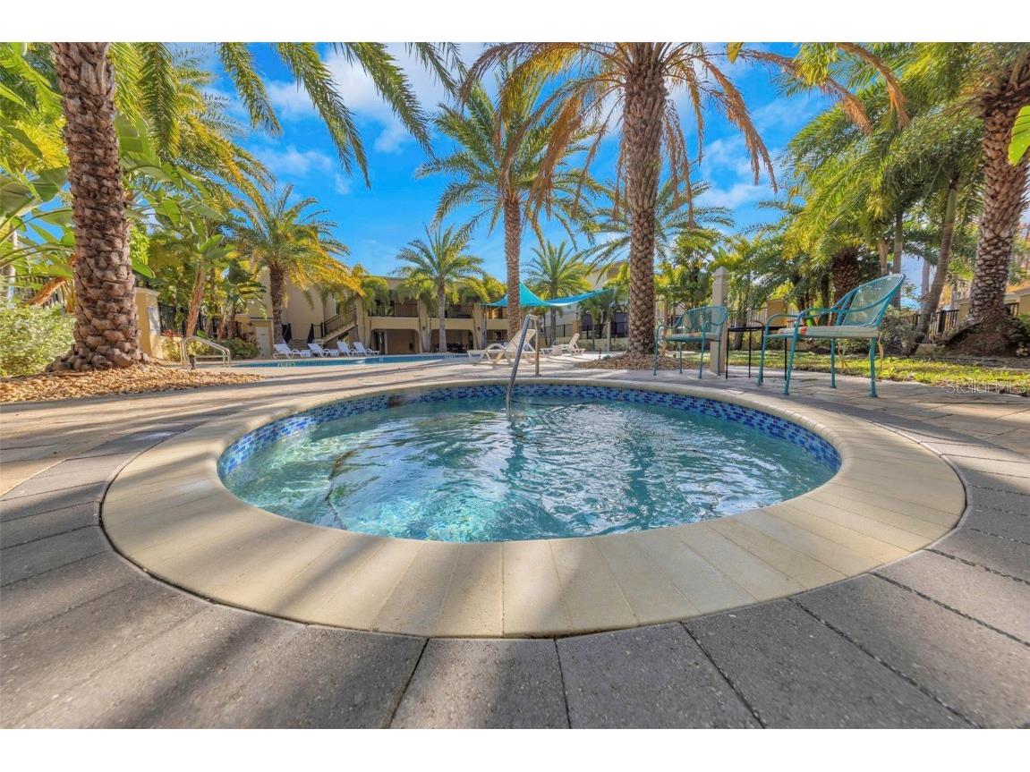 754 Grand Cypress Lane Tarpon Springs FL 34689 TB8460159 image41