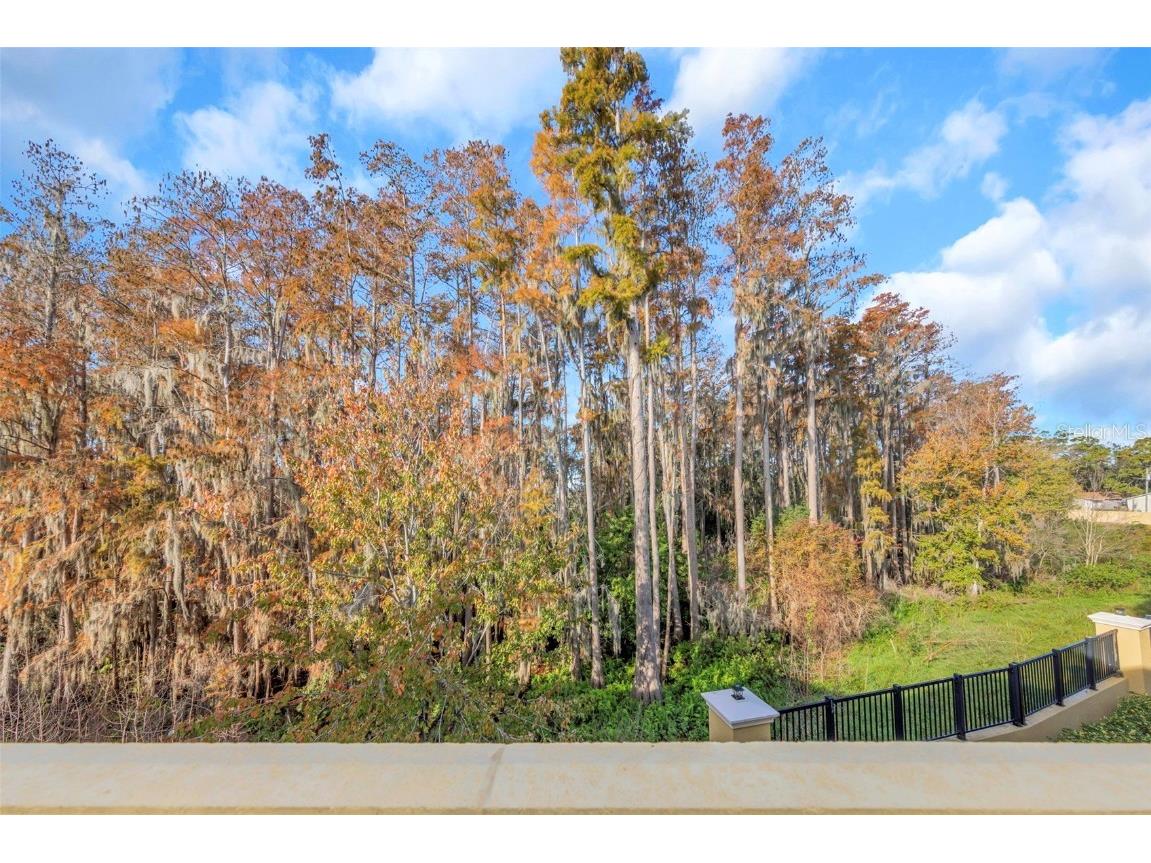 754 Grand Cypress Lane Tarpon Springs FL 34689 TB8460159 image56