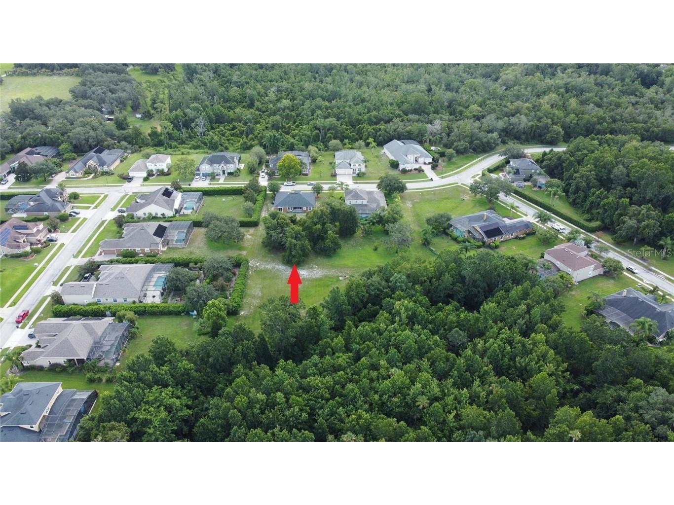 754 Grey Heron Place Chuluota FL 32766 O6330139 image44