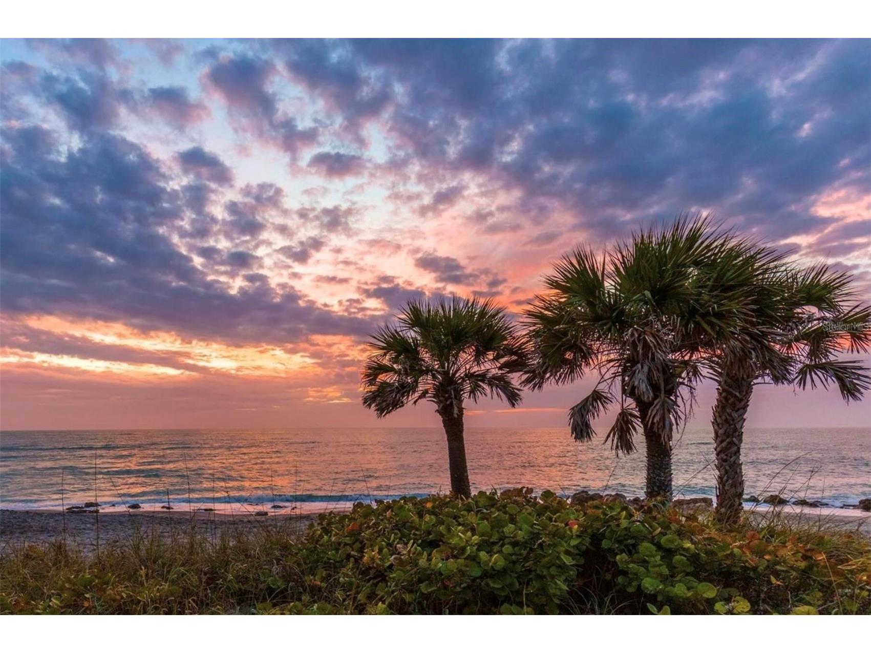 754 Pine Run Drive #754 Osprey FL 34229 A4693150 image41