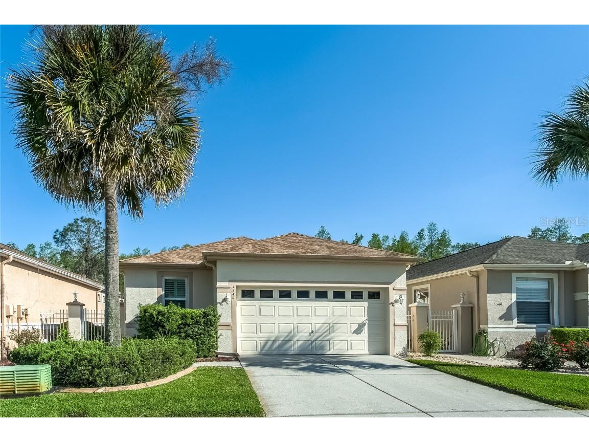7540 Berna Lane Land O Lakes FL 34637 T3459047 image1