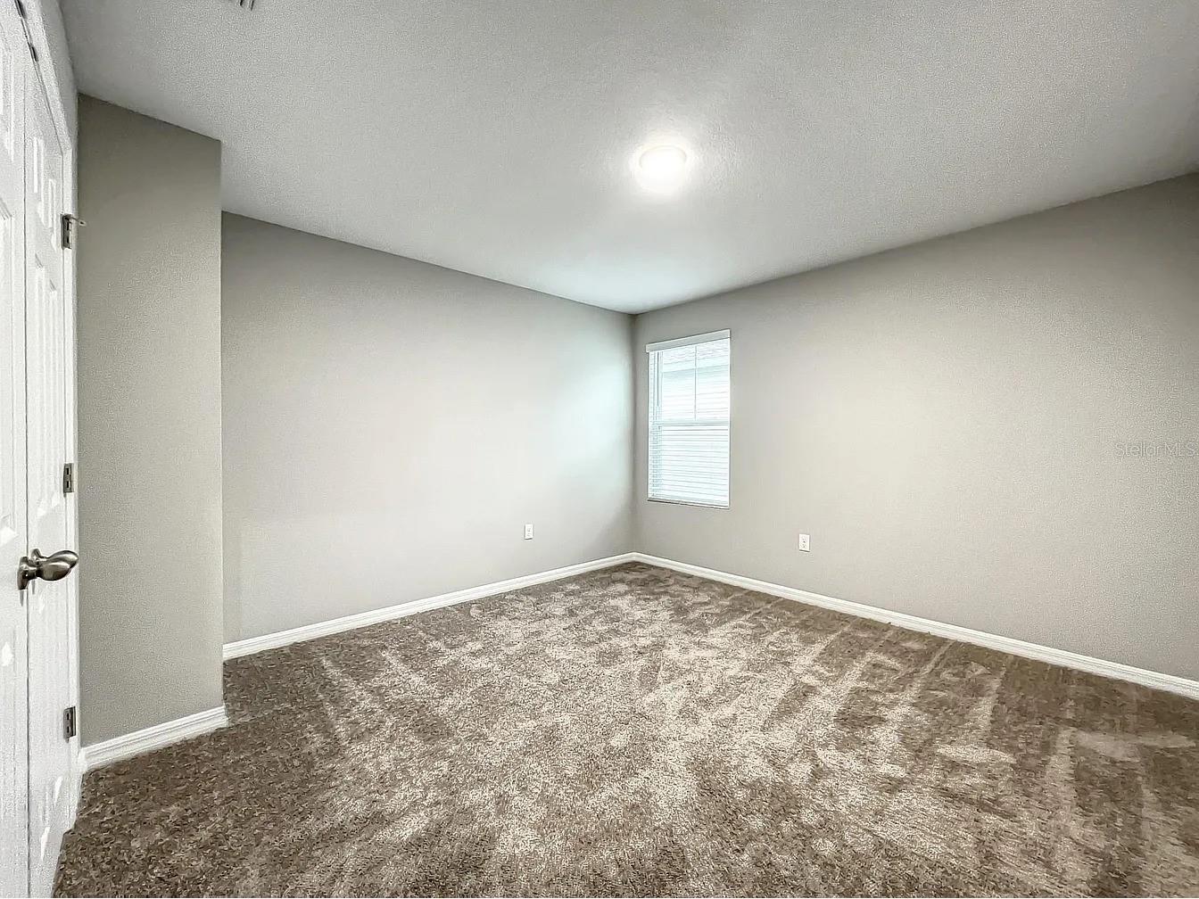 7540 Freesia Trace Wesley Chapel FL 33545 TB8513329 image7