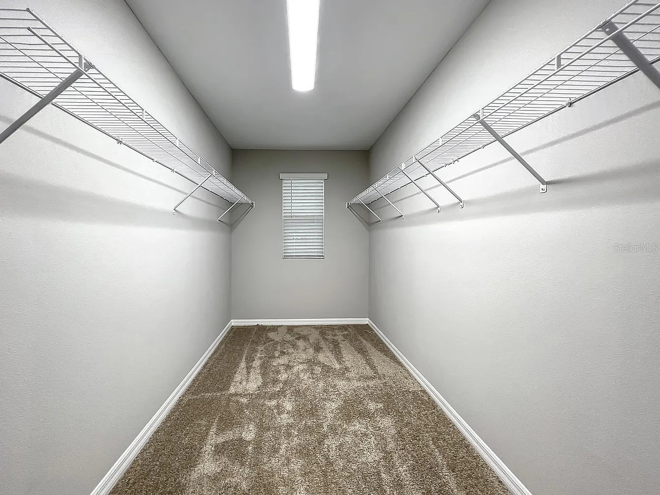 7540 Freesia Trace Wesley Chapel FL 33545 TB8513329 image9