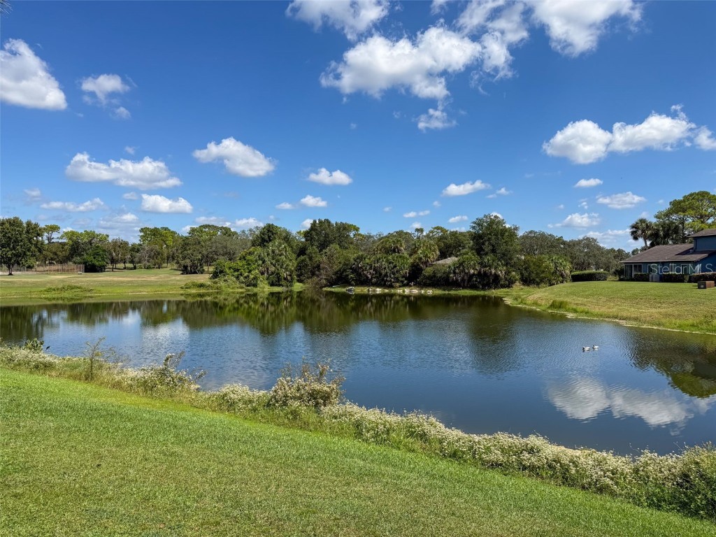 7540 St Andrews Boulevard #7536 Weeki Wachee FL 34613 W7879283 image48