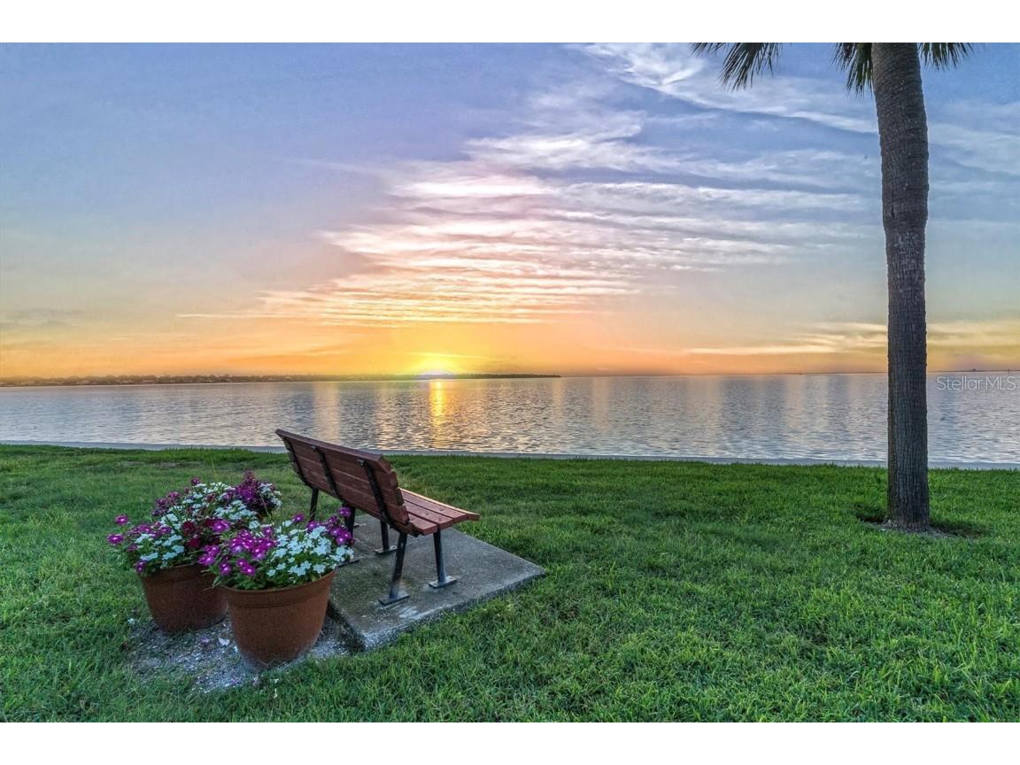 7540 Sunshine Skyway Lane S #P10 Saint Petersburg FL 33711 - TAMPA BAY TB8405458 image1