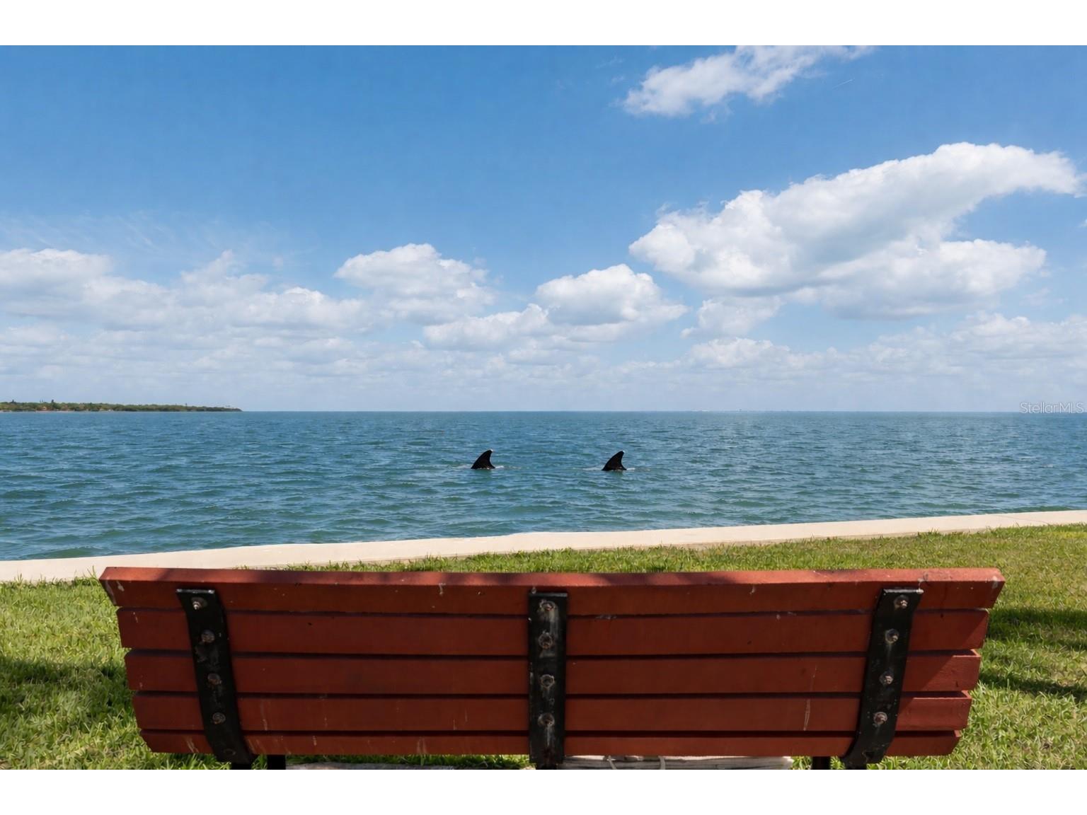 7540 Sunshine Skyway Lane S #T35 Saint Petersburg FL 33711 TB8495221 image11