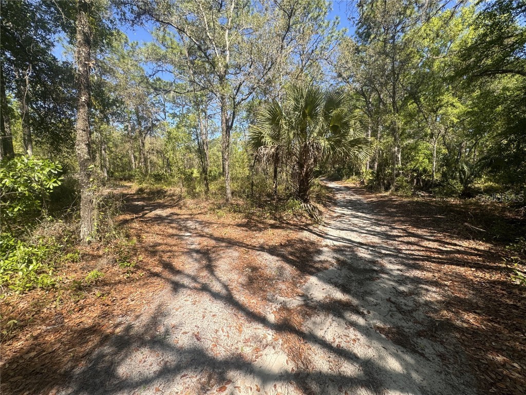 7541 W Vineyard Homosassa FL 34448 OM676080 image1