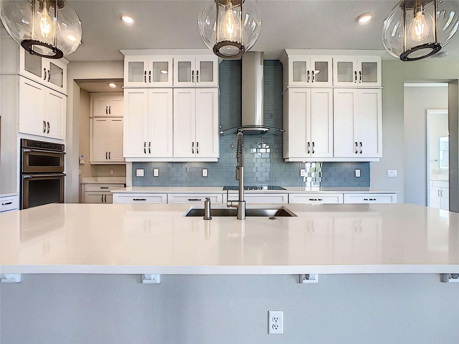 7542 Alpine Butterfly Lane Orlando FL 32819 O6398651 image33