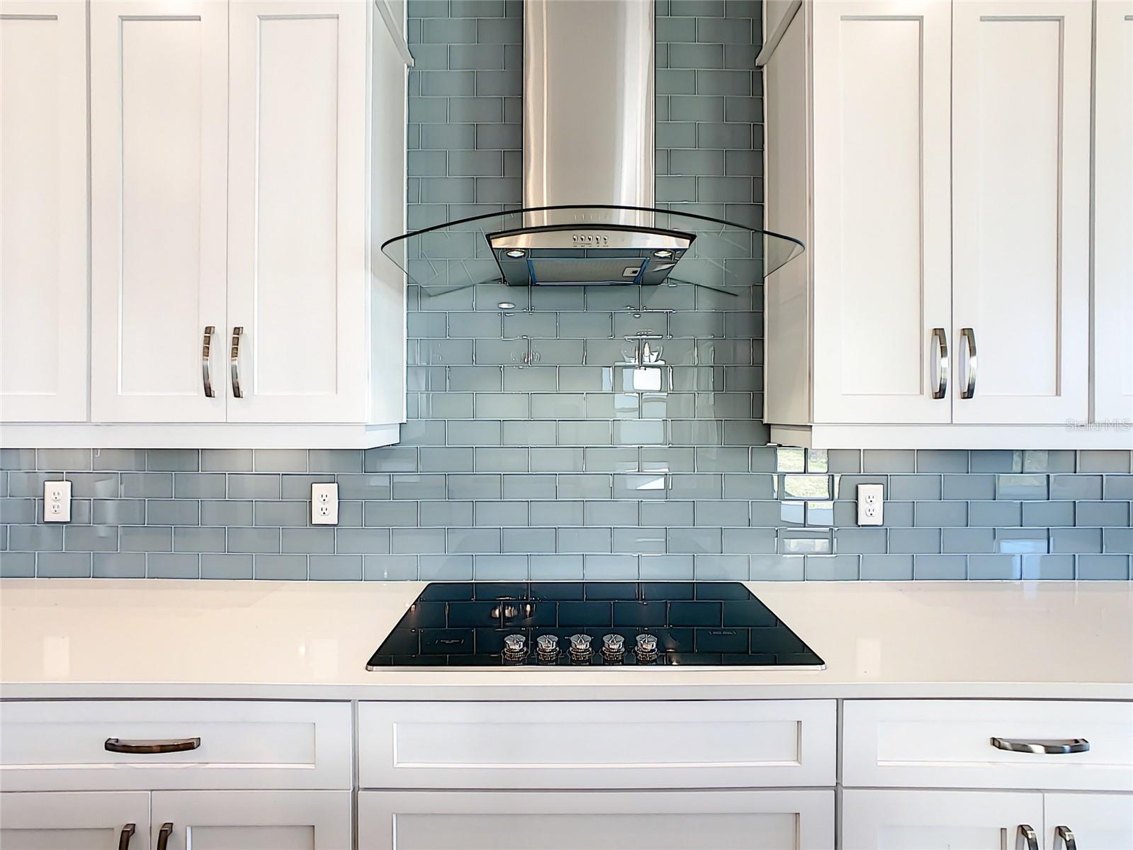 7542 Alpine Butterfly Lane Orlando FL 32819 O6398651 image35