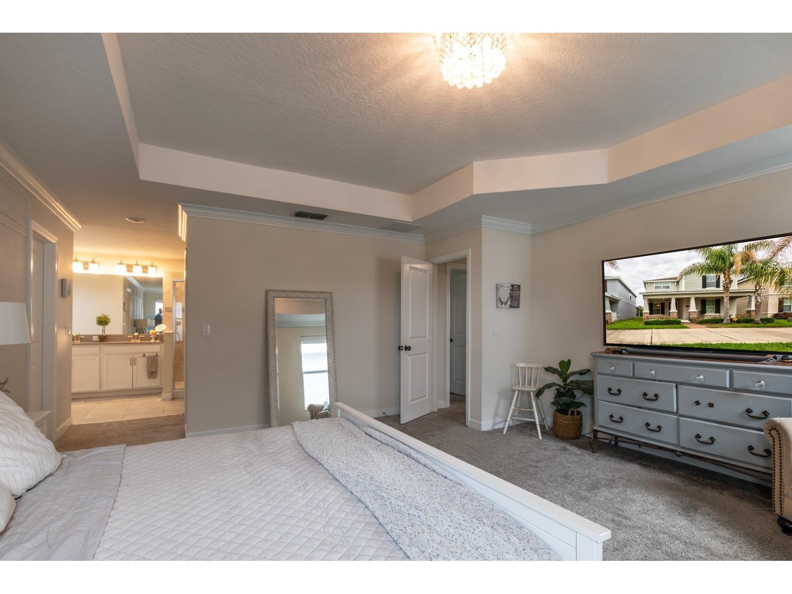 7542 Summerlake Groves Street Winter Garden FL 34787 O6411397 image12