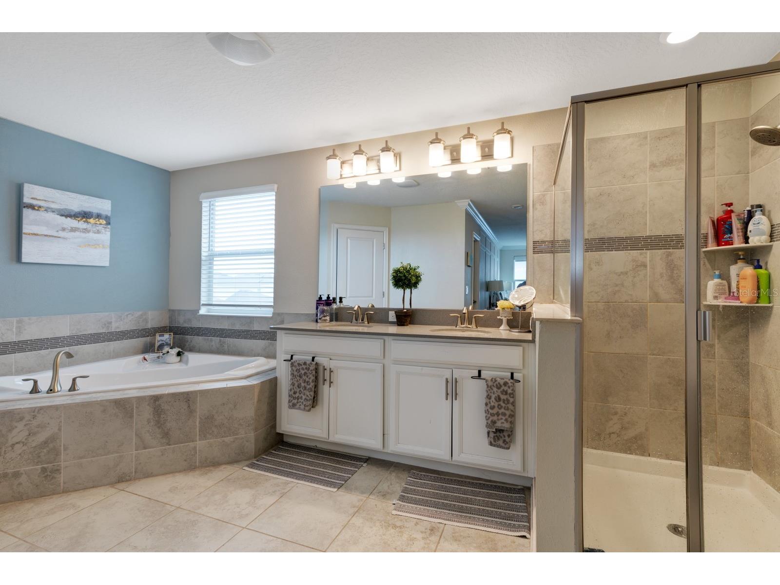 7542 Summerlake Groves Street Winter Garden FL 34787 O6411397 image13