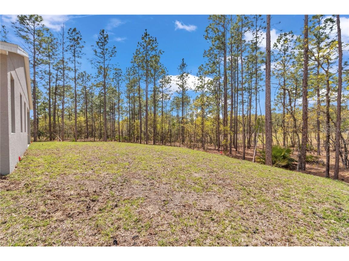 7542 SW 128 Terrace Road Dunnellon FL 34432 O6274943 image49