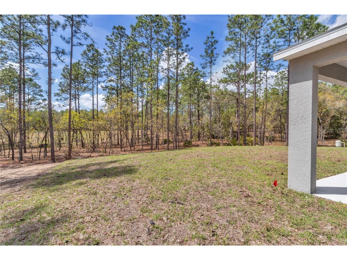 7542 SW 128 Terrace Road Dunnellon FL 34432 O6274943 image52