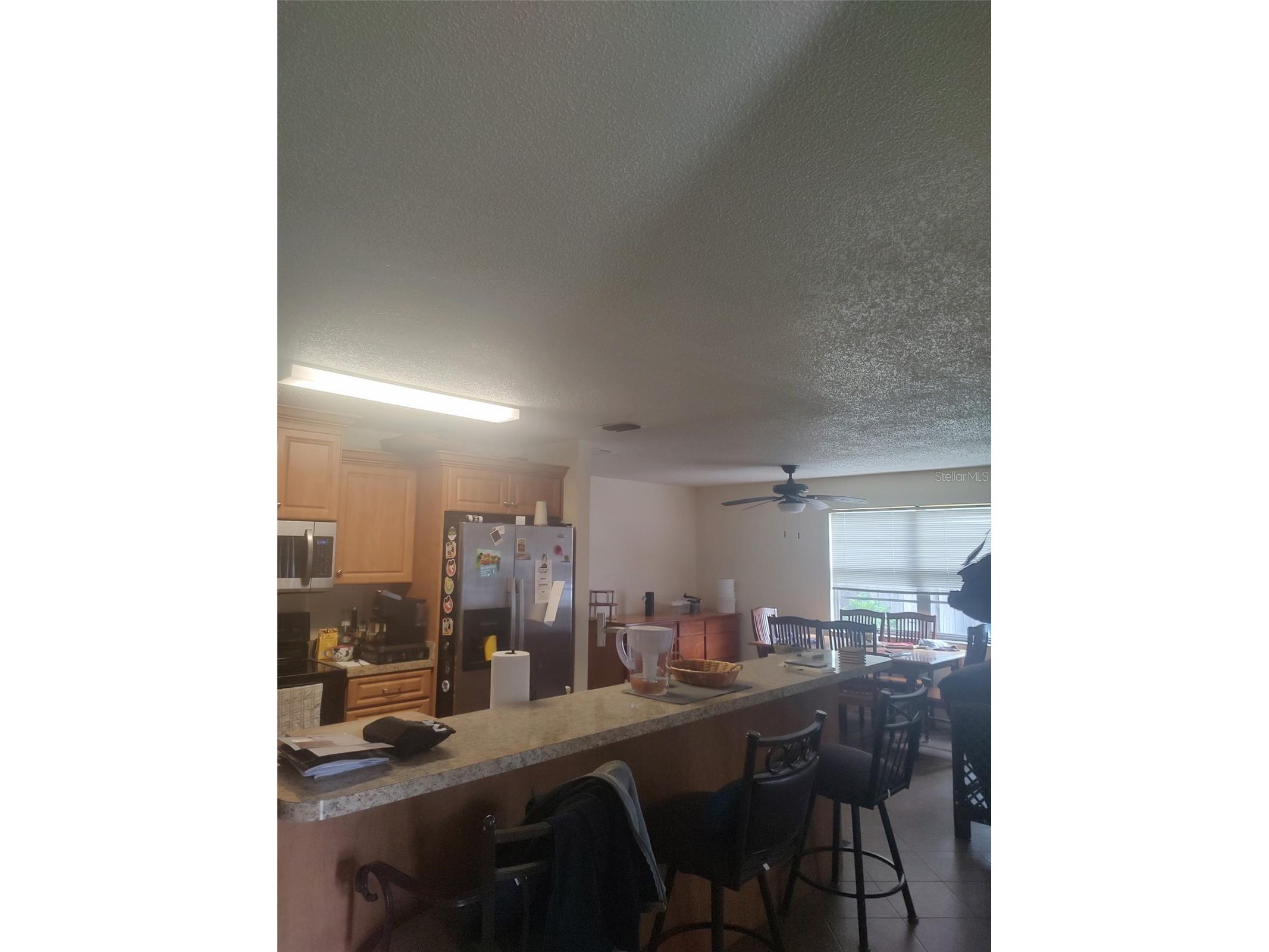 7543 Ivory Terrace New Port Richey FL 34655 TB8472199 image3