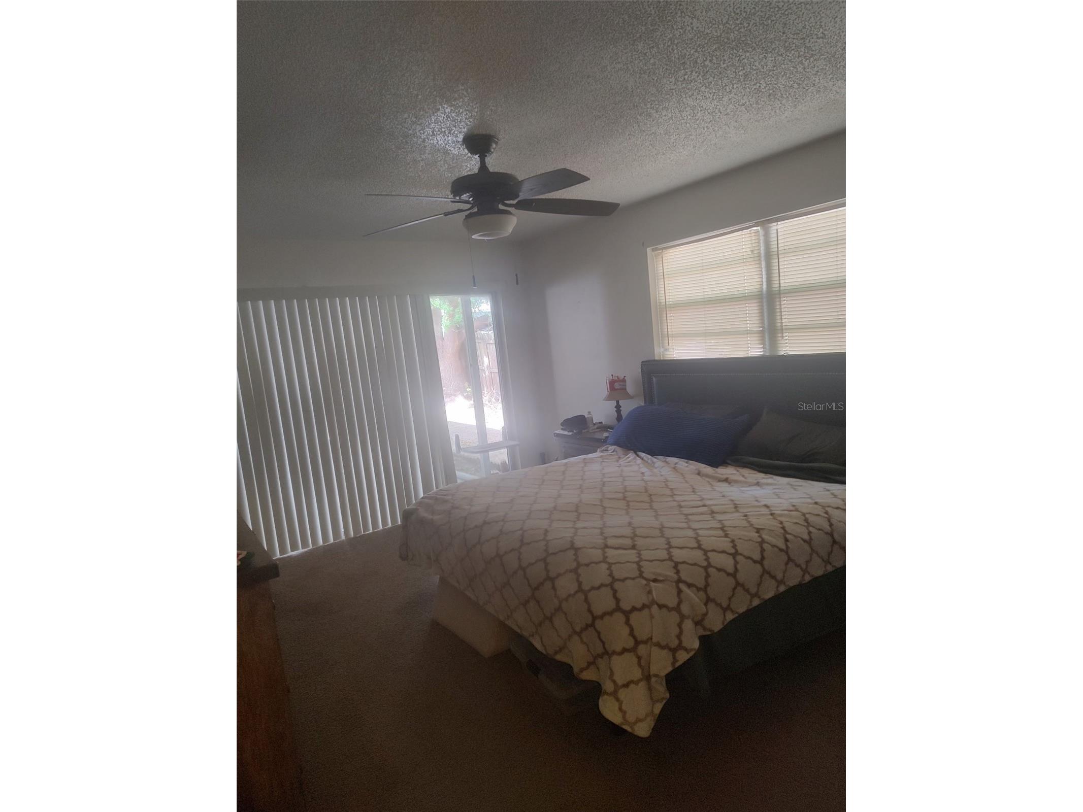 7543 Ivory Terrace New Port Richey FL 34655 TB8472199 image7