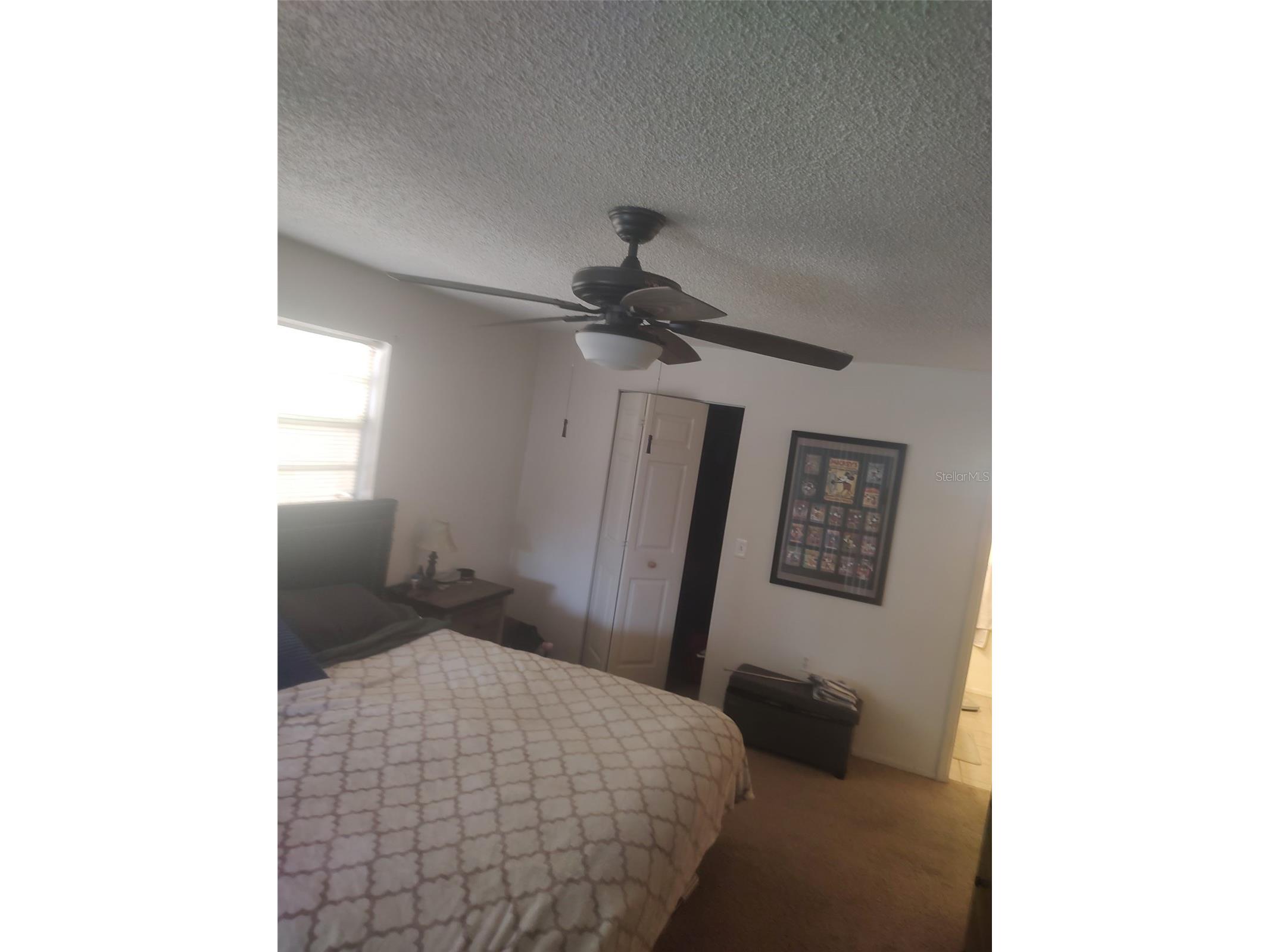 7543 Ivory Terrace New Port Richey FL 34655 TB8472199 image8