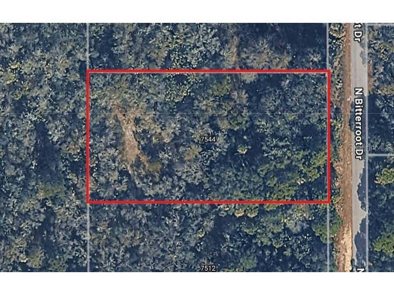 7544 N Bitteroot Drive Crystal River FL 34428 OM714773 image1