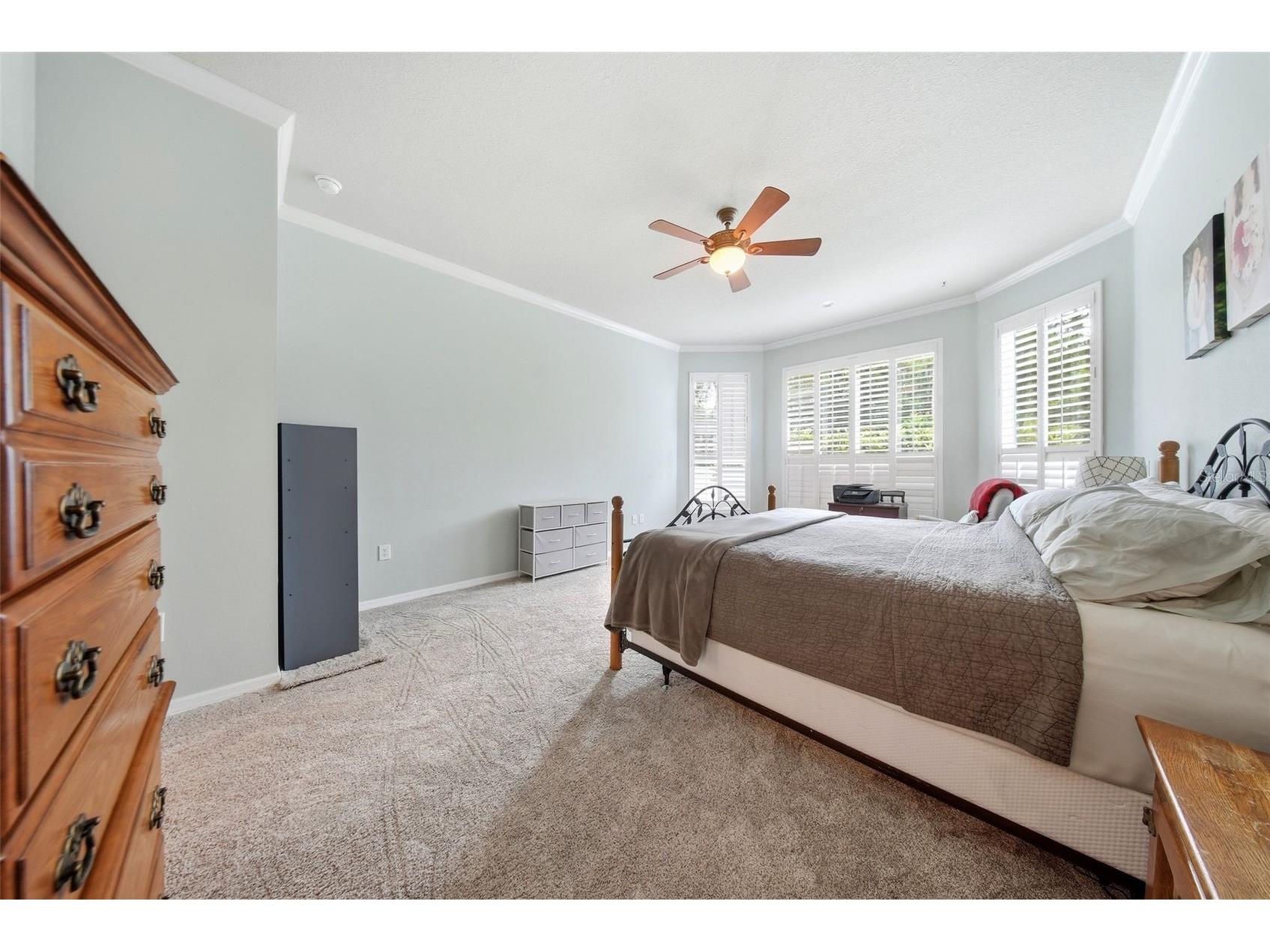 7544 Whispering Wind Drive Land O Lakes FL 34637 TB8505509 image23