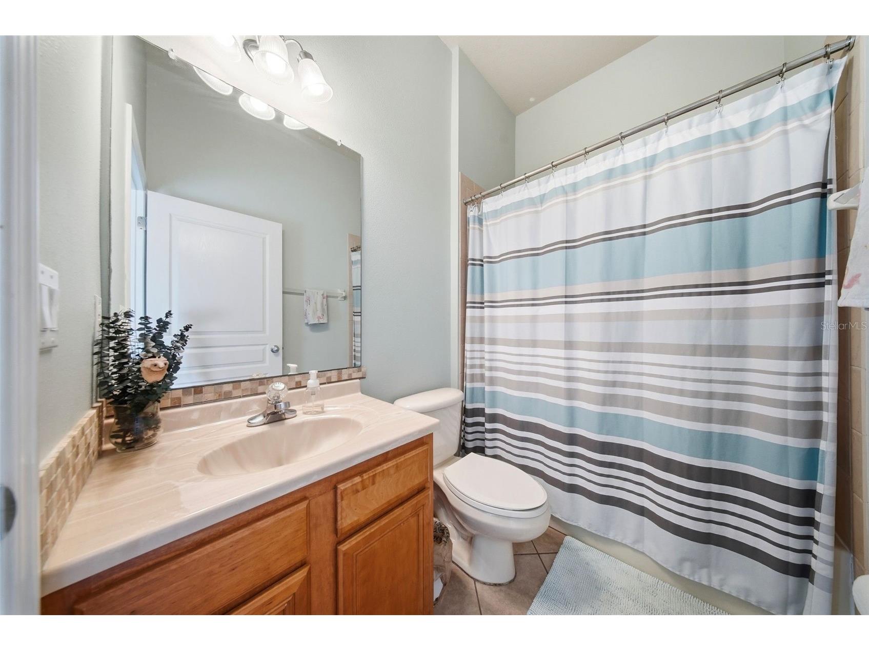 7544 Whispering Wind Drive Land O Lakes FL 34637 TB8505509 image39