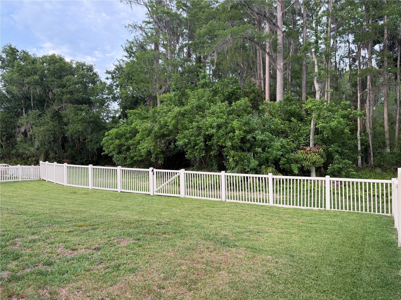 7544 Whispering Wind Drive Land O Lakes FL 34637 TB8505509 image47