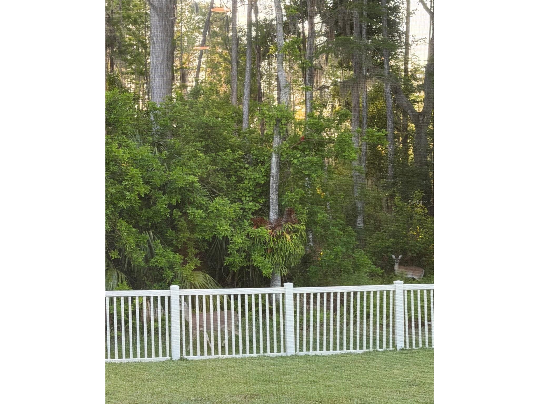 7544 Whispering Wind Drive Land O Lakes FL 34637 TB8505509 image48