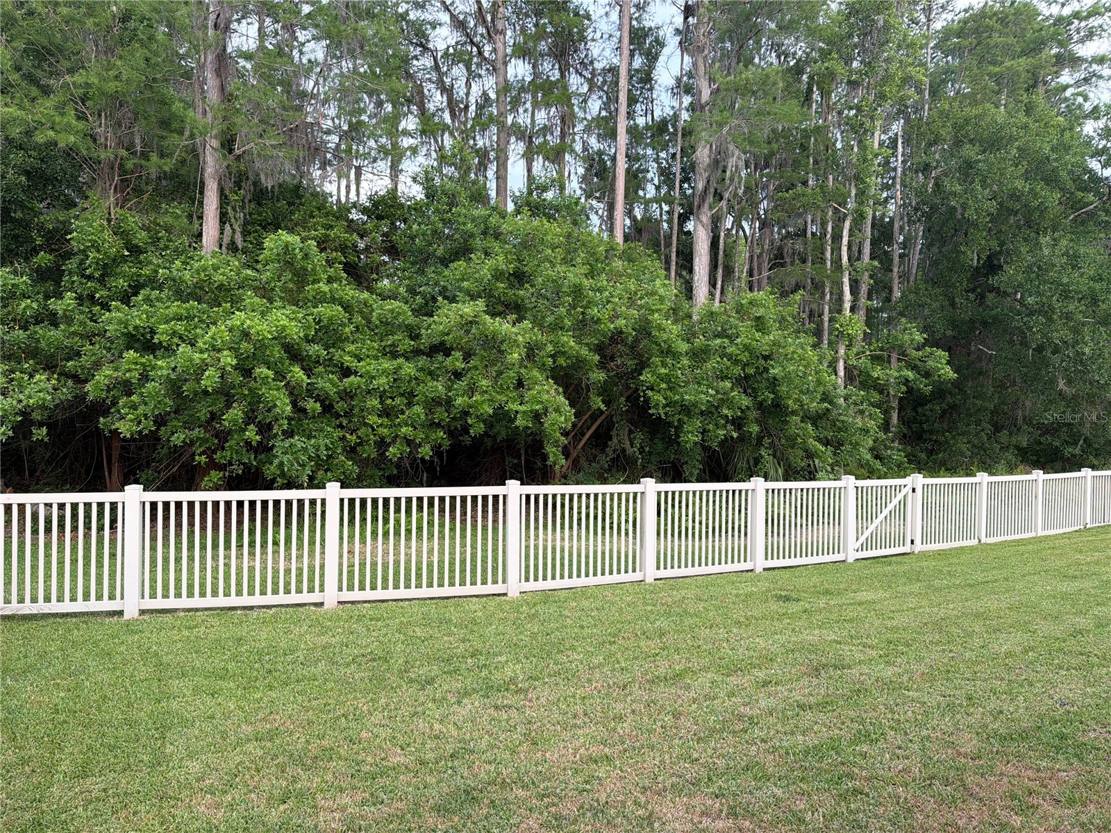 7544 Whispering Wind Drive Land O Lakes FL 34637 TB8505509 image8