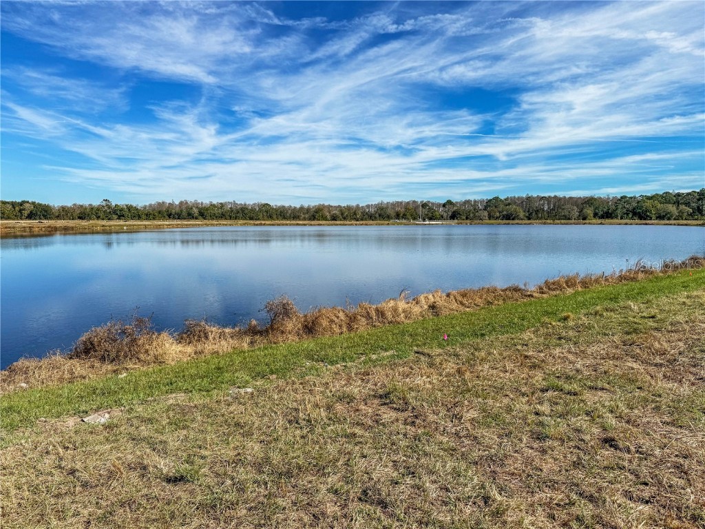 7545 Bent Tree Loop Saint Cloud FL 34773 O6352919 image8