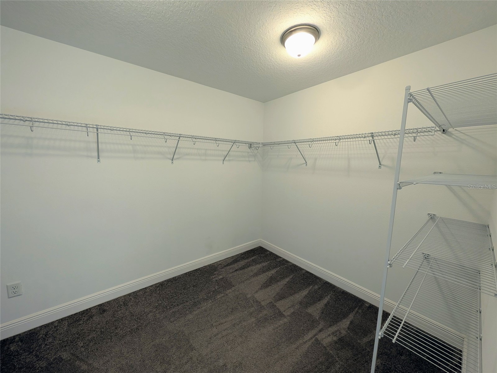 7545 Pool Compass Loop Wesley Chapel FL 33545 TB8485576 image18