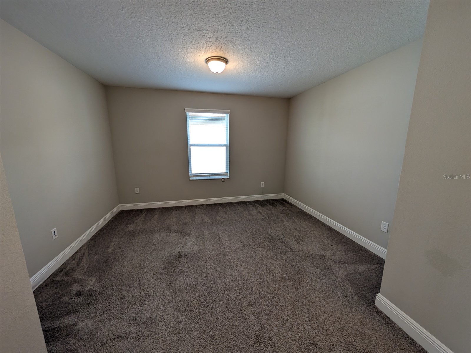 7545 Pool Compass Loop Wesley Chapel FL 33545 TB8485576 image22