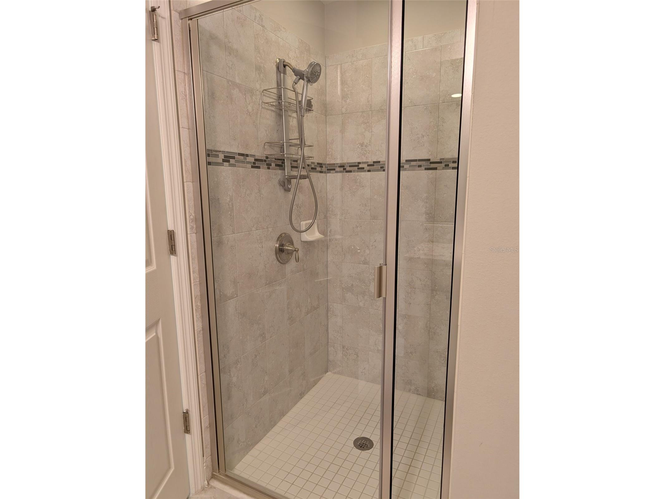 7545 Pool Compass Loop Wesley Chapel FL 33545 TB8485576 image28