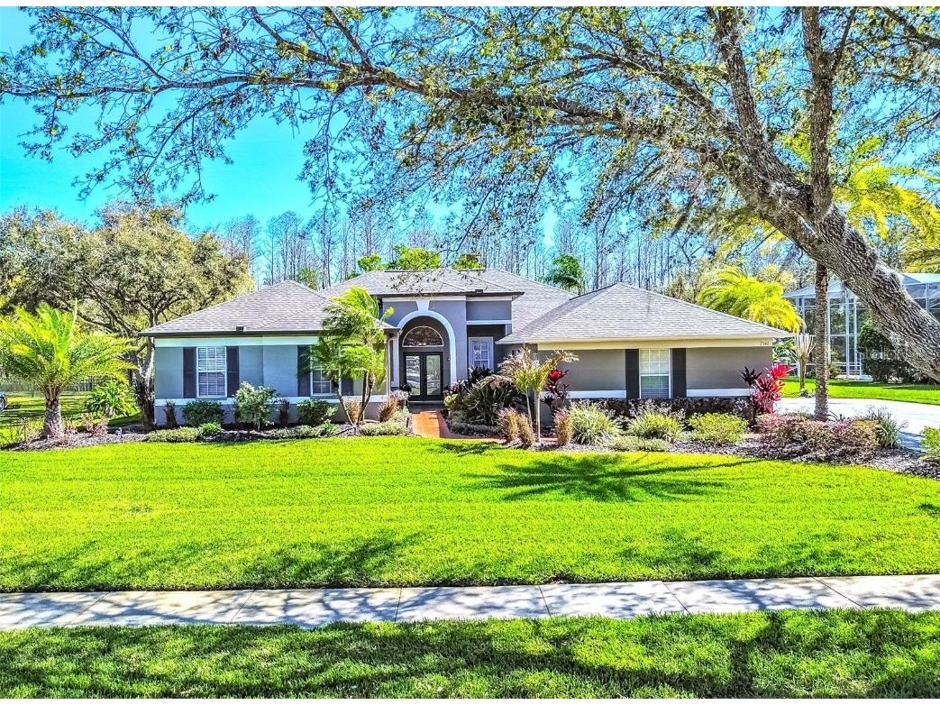 7546 Dunbridge Drive Odessa FL 33556 TB8358156 image1