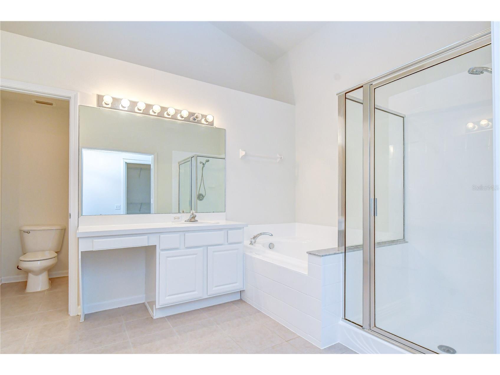 7548 Granitville Drive Wesley Chapel FL 33545 TB8523672 image19