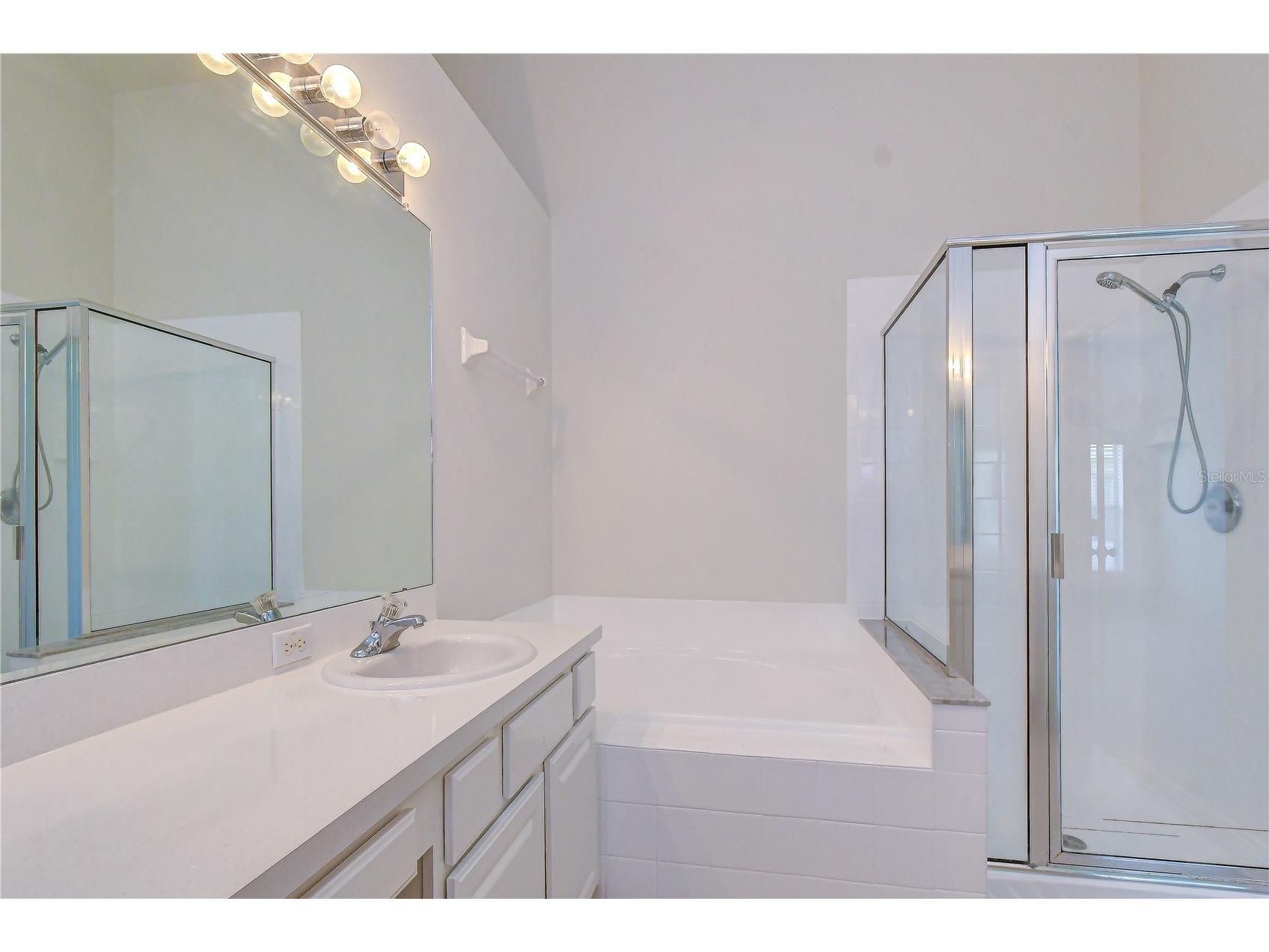 7548 Granitville Drive Wesley Chapel FL 33545 TB8523672 image20